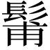 𩭗